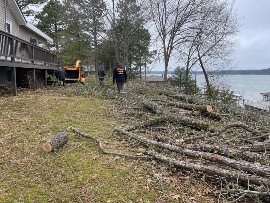 Downed limbs and brush cleared from a lakeside yard after high winds.