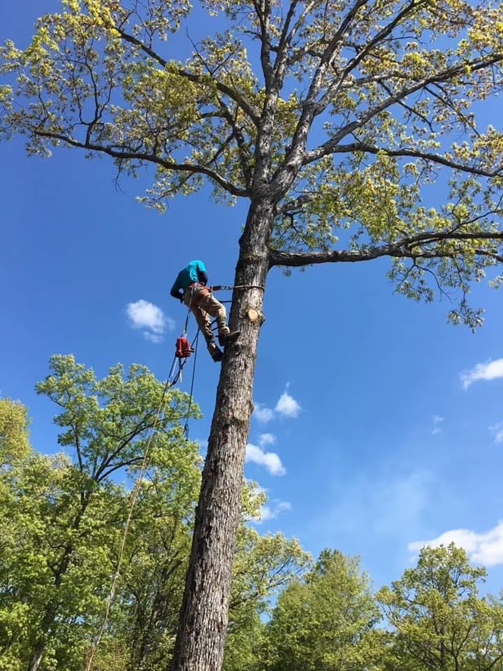 Climbed and taken down piece by piece in a tight spot.