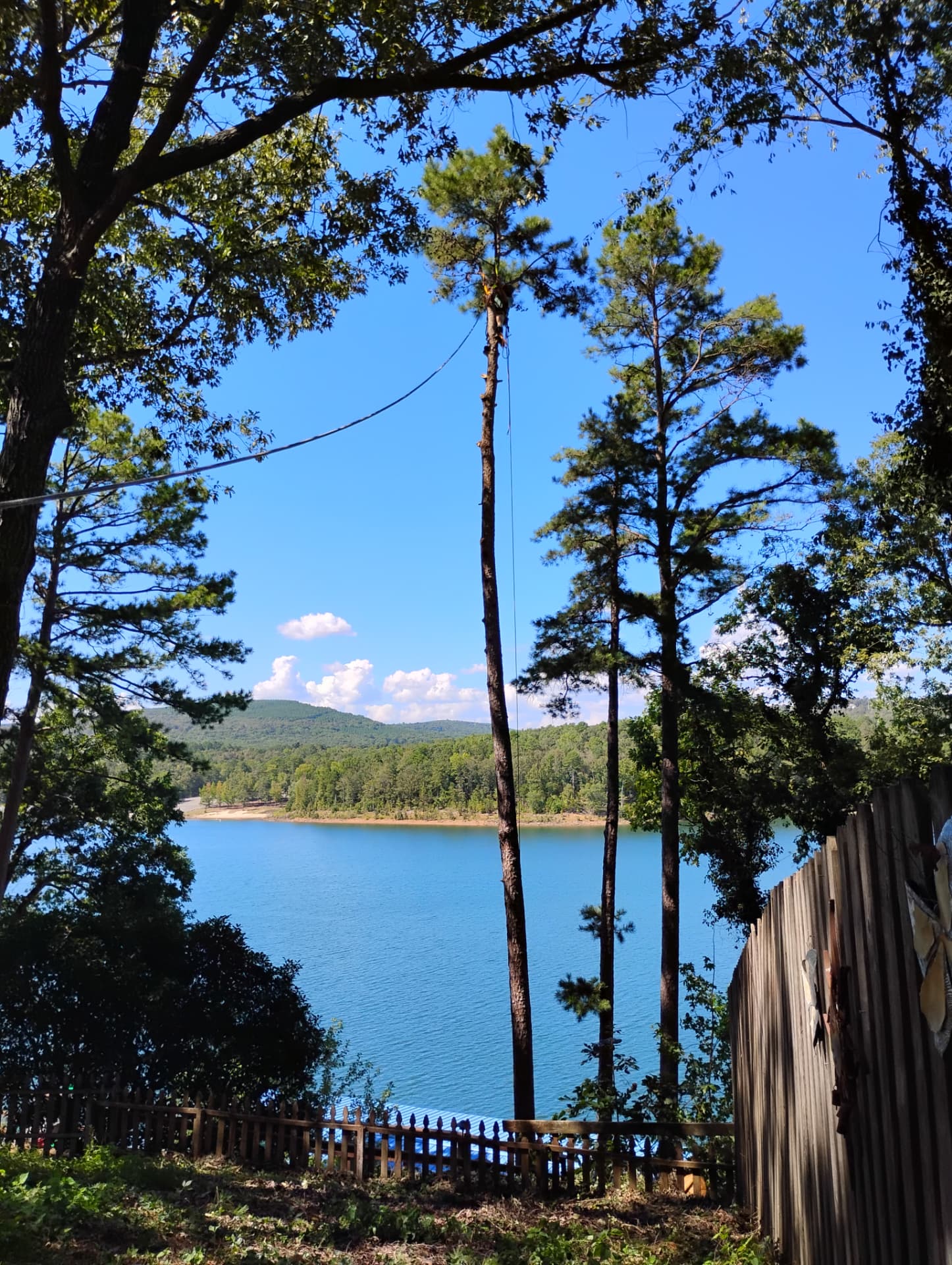 Roped-down removal opening the water view back up on Greers Ferry Lake.