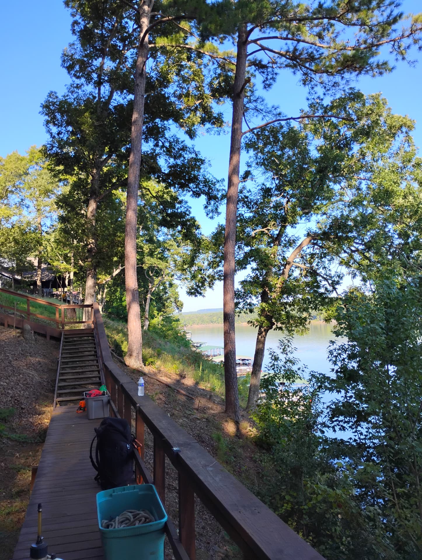 Gear staged along a steep lakeside walkway for a tight tree removal on Greers Ferry Lake
