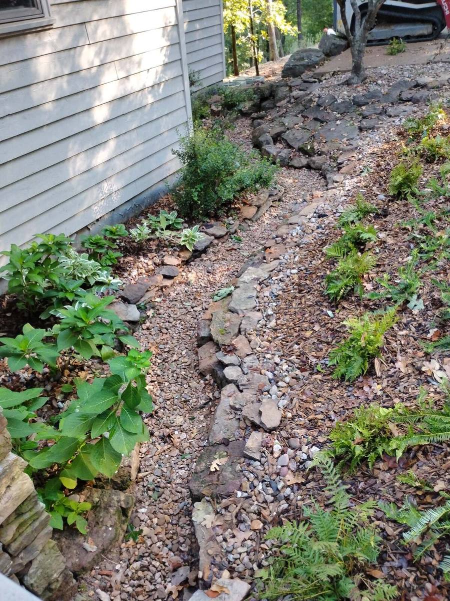 Stone-lined runoff channel with ferns and hydrangeas filling in alongside.