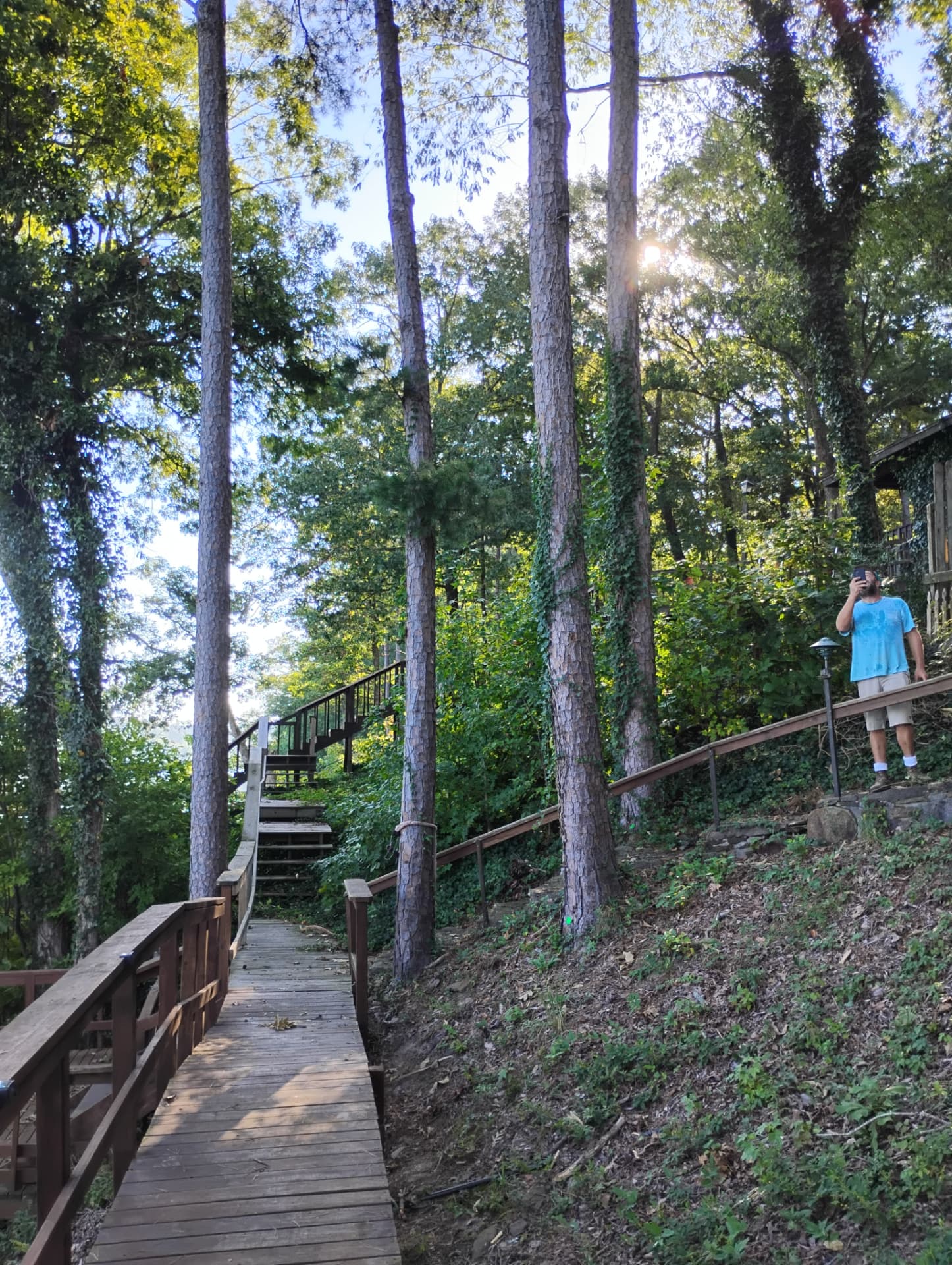 Limbs and brush cleared off a steep boardwalk and hillside.