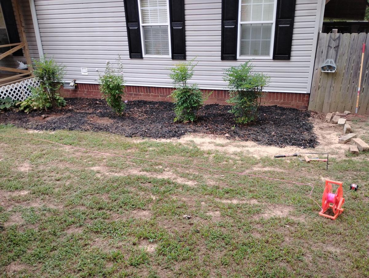 Black mulch bed with shrubs and no edging beside a house in Greers Ferry, Arkansas