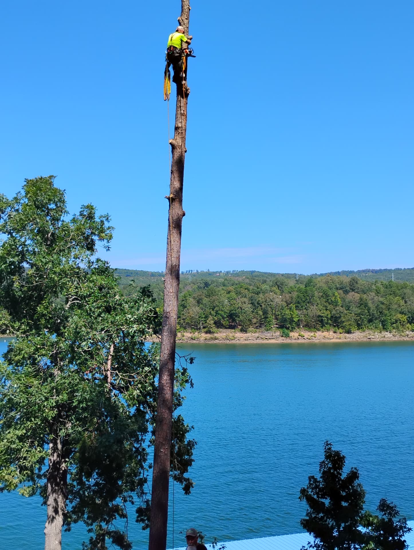 Climber topping a tall pine section by section above a lakefront home. — stump grinding near Clinton, Arkansas